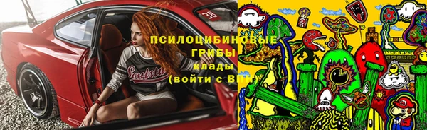 бутират Алексин