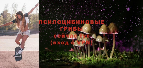 молекула духа Алексеевка