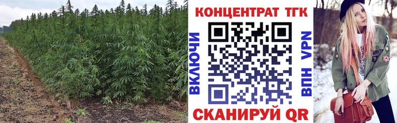 Дистиллят ТГК вейп  ссылка на мегу вход  Королёв 