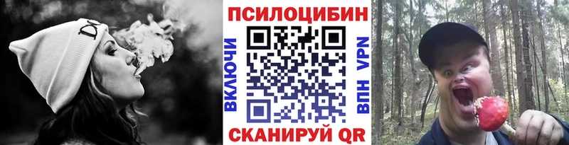 Галлюциногенные грибы ЛСД  купить наркоту  МЕГА как зайти  Королёв 